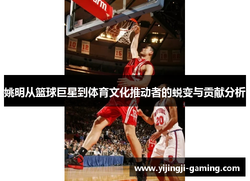 姚明从篮球巨星到体育文化推动者的蜕变与贡献分析
