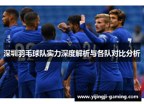 深圳羽毛球队实力深度解析与各队对比分析