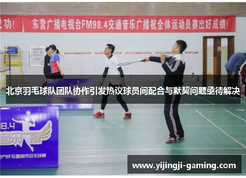 北京羽毛球队团队协作引发热议球员间配合与默契问题亟待解决