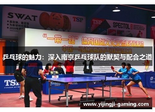 乒乓球的魅力：深入南京乒乓球队的默契与配合之道