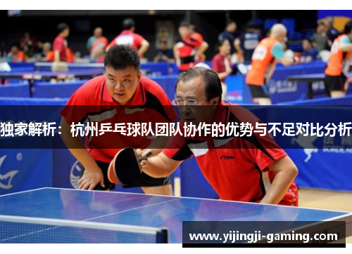 独家解析：杭州乒乓球队团队协作的优势与不足对比分析